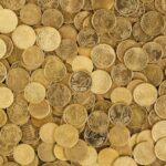 זורעים מטבעות זהב ריבוניים, קוצרים רווחים מתוקים: הדרך להשקעה מניבה